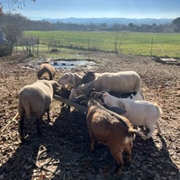 photo de livraison pour Refuge du Poil à la Plume