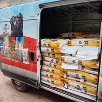 photo de livraison pour 4 Pattes Mogador