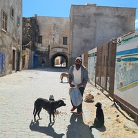 photo de livraison pour ADAN Essaouira