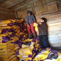 photo de livraison pour Alina & Anda