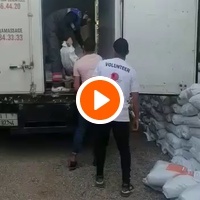 photo de livraison pour L'Arche de Noé