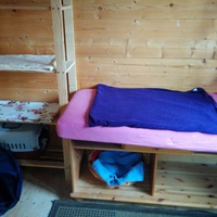 photo de livraison pour Félin'possible
