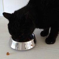 photo de livraison pour Cœur Animal