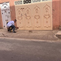 photo de livraison pour L'Arche de Noé
