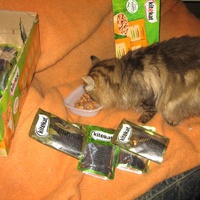 photo de livraison pour Jardin des Chats