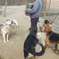photo de livraison pour Svetlana Bjelogrlic