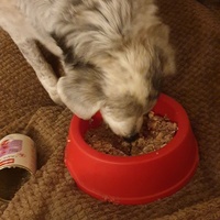 photo de livraison pour AVRAH