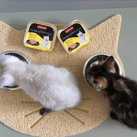 photo de livraison pour Les Chats libres de Fleurance