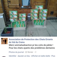 photo de livraison pour Chats errants du val du crenu