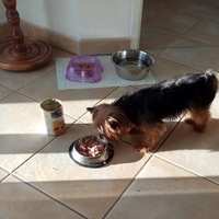 photo de livraison pour AVRAH