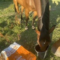 photo de livraison pour Espoir au Galop