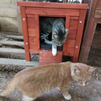 photo de livraison pour Les Fées AnimO