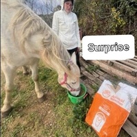 photo de livraison pour La Retraite des Chevaux des Causses