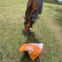 photo de livraison pour Espoir au Galop