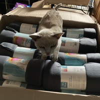 photo de livraison pour Ecole du Chat des Alpilles