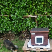 photo de livraison pour Aidons nos Molosses