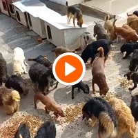 photo de livraison pour ПРИХВАТИЛИШТЕ ДРАЖЕВАЦ