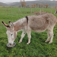 photo de livraison pour ADADA