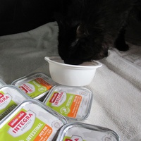 photo de livraison pour Jardin des Chats
