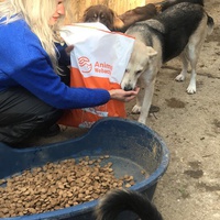 photo de livraison pour Saving Orphaned Souls Sheila's Animal Rescue Mission