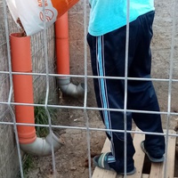 photo de livraison pour Daniela Elena Sandoiu