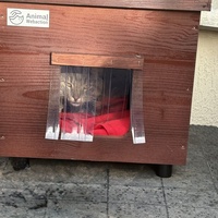 photo de livraison pour Chat Gratouille