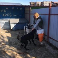 photo de livraison pour Asoc. Dam o sansa la viata animalelor abandonate si maltratate