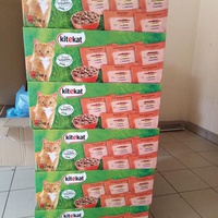 photo de livraison pour Castel Cats