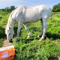 photo de livraison pour Equi-Libre : Droit à la Retraite Equine