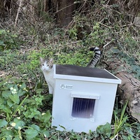 photo de livraison pour Les chats de chez nous