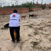 photo de livraison pour L'Arche de Noé