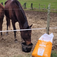 photo de livraison pour Haras d'Ealmy
