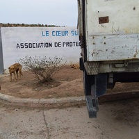 photo de livraison pour Le Coeur sur la Patte