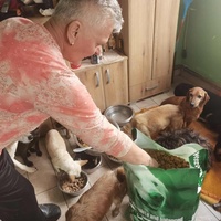 photo de livraison pour ПРИХВАТИЛИШТЕ ДРАЖЕВАЦ