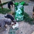 photo animal