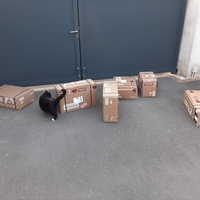 photo de livraison pour Les Pattes de l'Espoir 