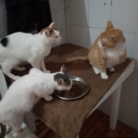 photo de livraison pour Hajar Aourz