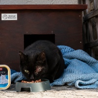 photo de livraison pour Clan du chat libre