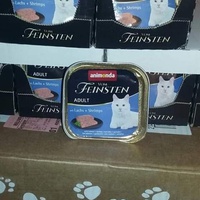 photo de livraison pour Les Chats-Pitresdelavi-Ste