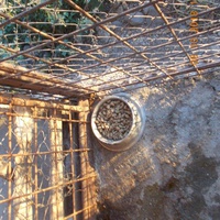 photo de livraison pour Pro Animals Finland ry