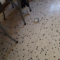 photo de livraison pour Chats Grains d'Amour