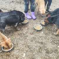 photo de livraison pour Svetlana Bjelogrlic