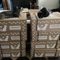 photo de livraison pour Association C.A.T.S. Chat Animal Terrien Solidarité