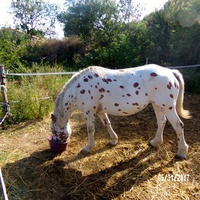 photo de livraison pour Arche et Relais