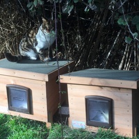 photo de livraison pour Ecole du Chat des Alpilles