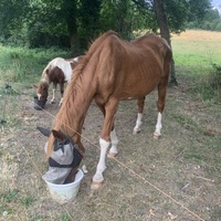 photo de livraison pour Bêle et Bête