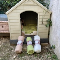 photo de livraison pour Les Chats Libres de Nimes Agglo