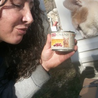 photo de livraison pour Les Chats de Dalila and co