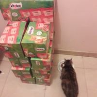 photo de livraison pour Les Amis de Michouette