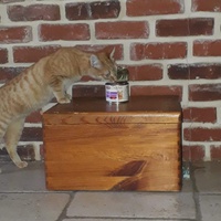 photo de livraison pour Les Chats de la Tour